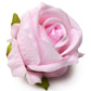 The Rose Lover's Gift Box Bloomgasm - Pink