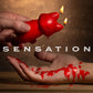Temptasia - Fox Drip Candle - Red