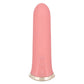 Uncorked Rose