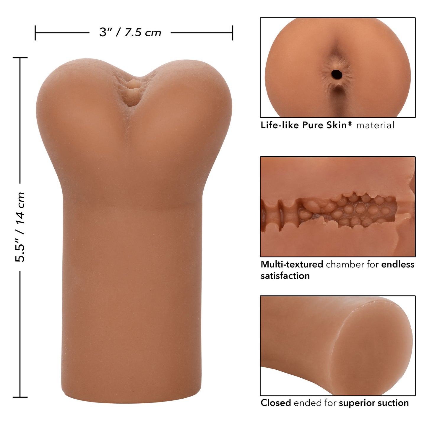 Boundless Anus - Brown