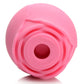 The Rose Lover's Gift Box Bloomgasm - Pink