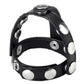 Snap- on Cock & Ball Harness