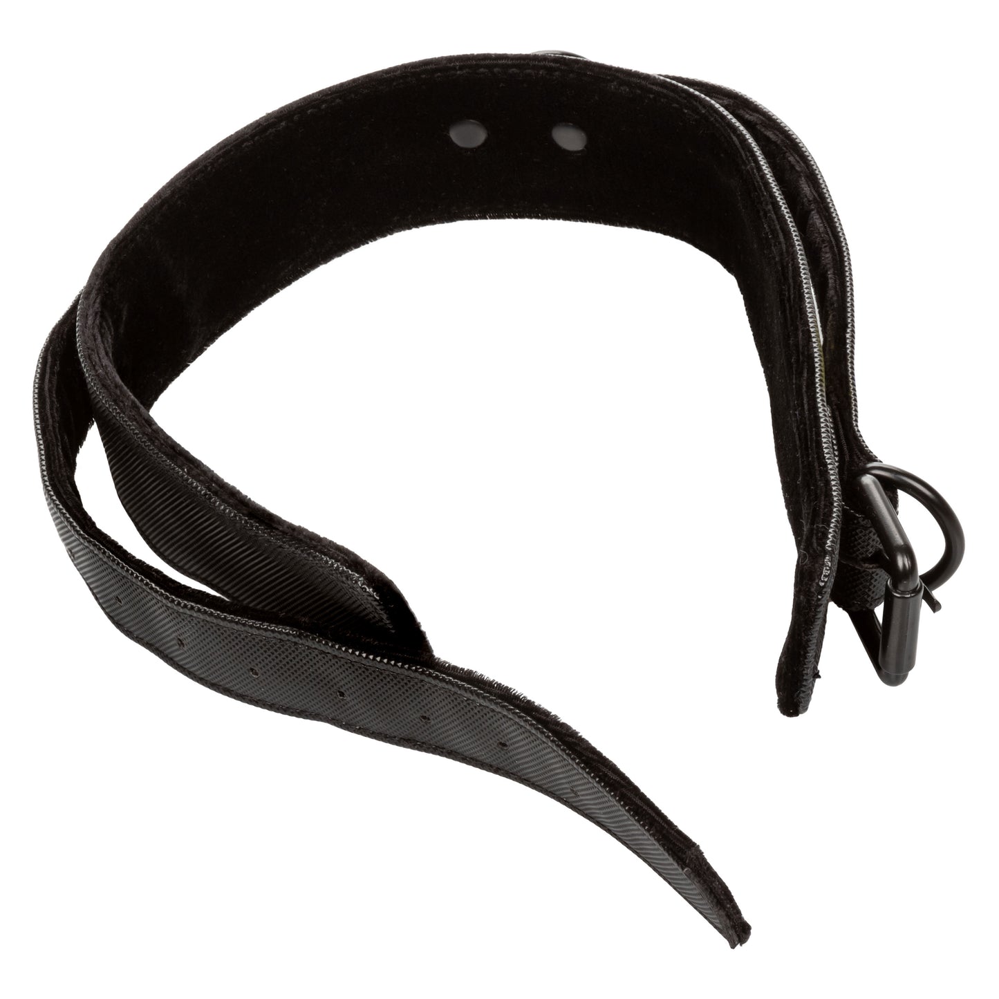 Boundless Collar & Leash SE2702403